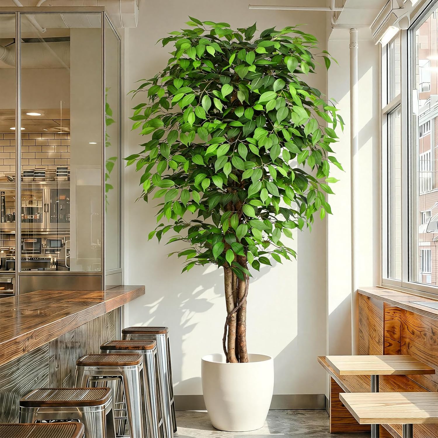 Fiddle Leaf Fig - Pohon Ficus Buatan yang Mirip Asli