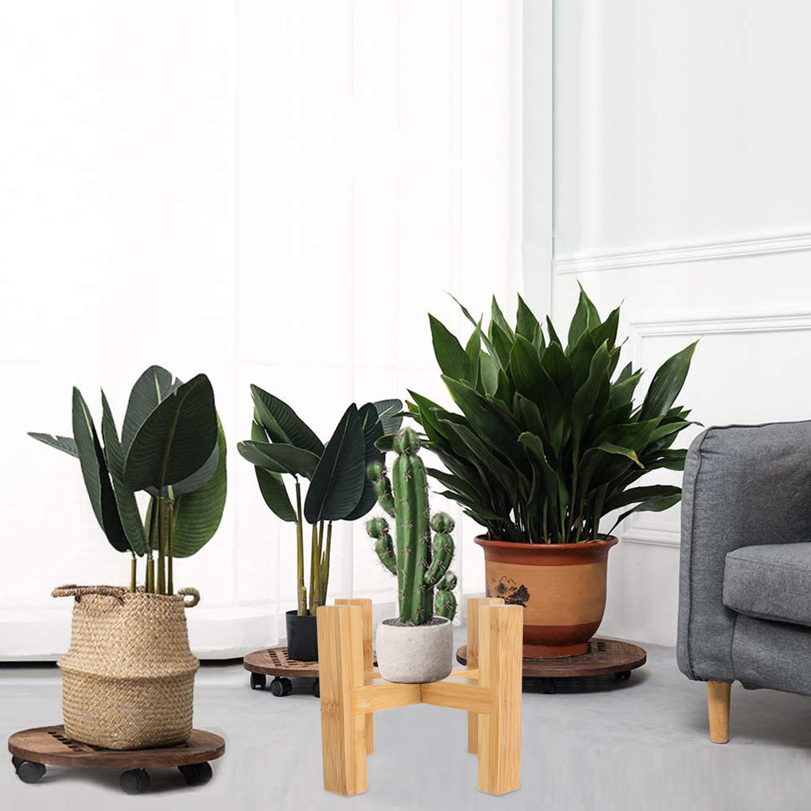 Fiddle Leaf Fig - Rak Tanaman Kayu yang Kokoh untuk