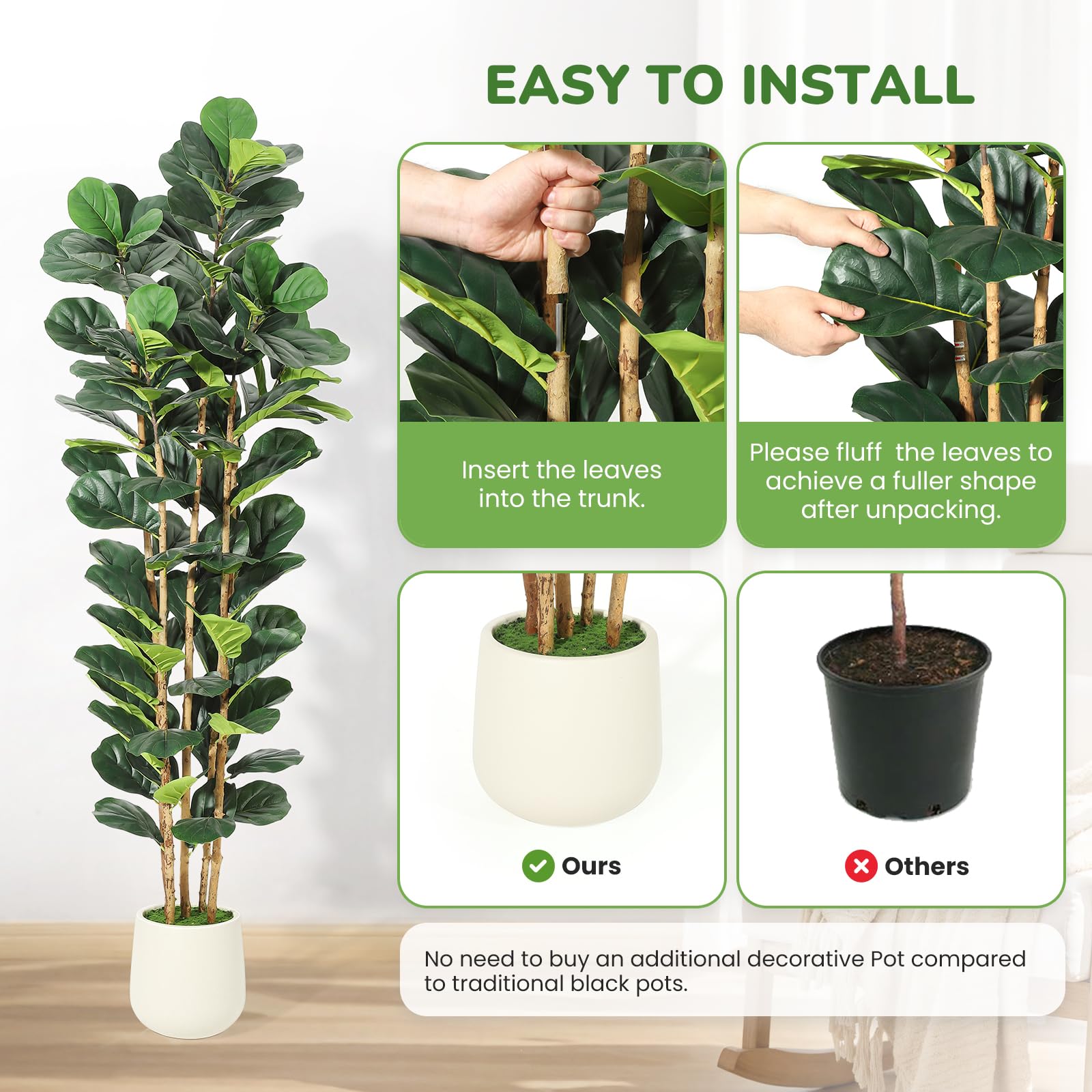 Pohon Ficus dengan Daun Mirip  - Fiddle Leaf Fig ulasan dan harga