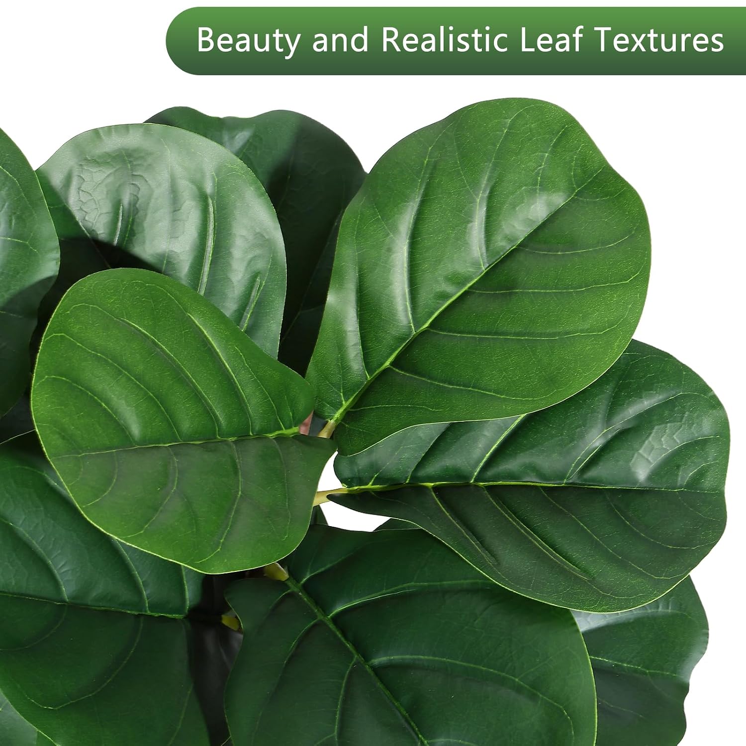 Pohon Ficus Lyrata Buatan Ting - Fiddle Leaf Fig ulasan dan harga