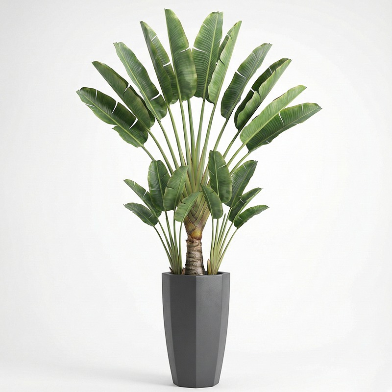 Pohon Fiddle Leaf Fig Plastik  - Fiddle Leaf Fig ulasan dan harga