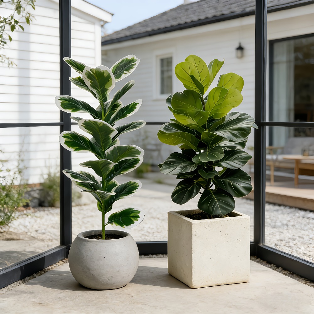 Pohon Beringin Buatan Realisti - Fiddle Leaf Fig ulasan dan harga