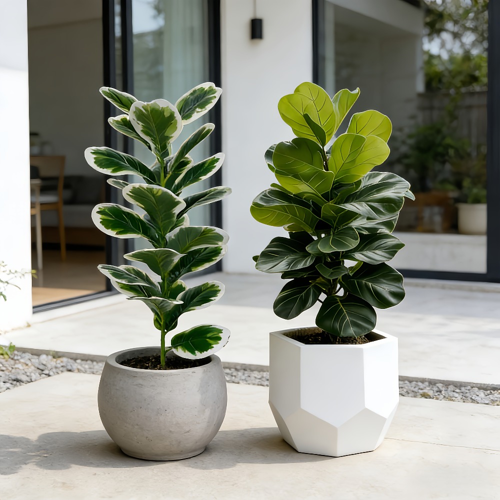 Pohon Beringin Buatan Realisti - Fiddle Leaf Fig ulasan dan harga