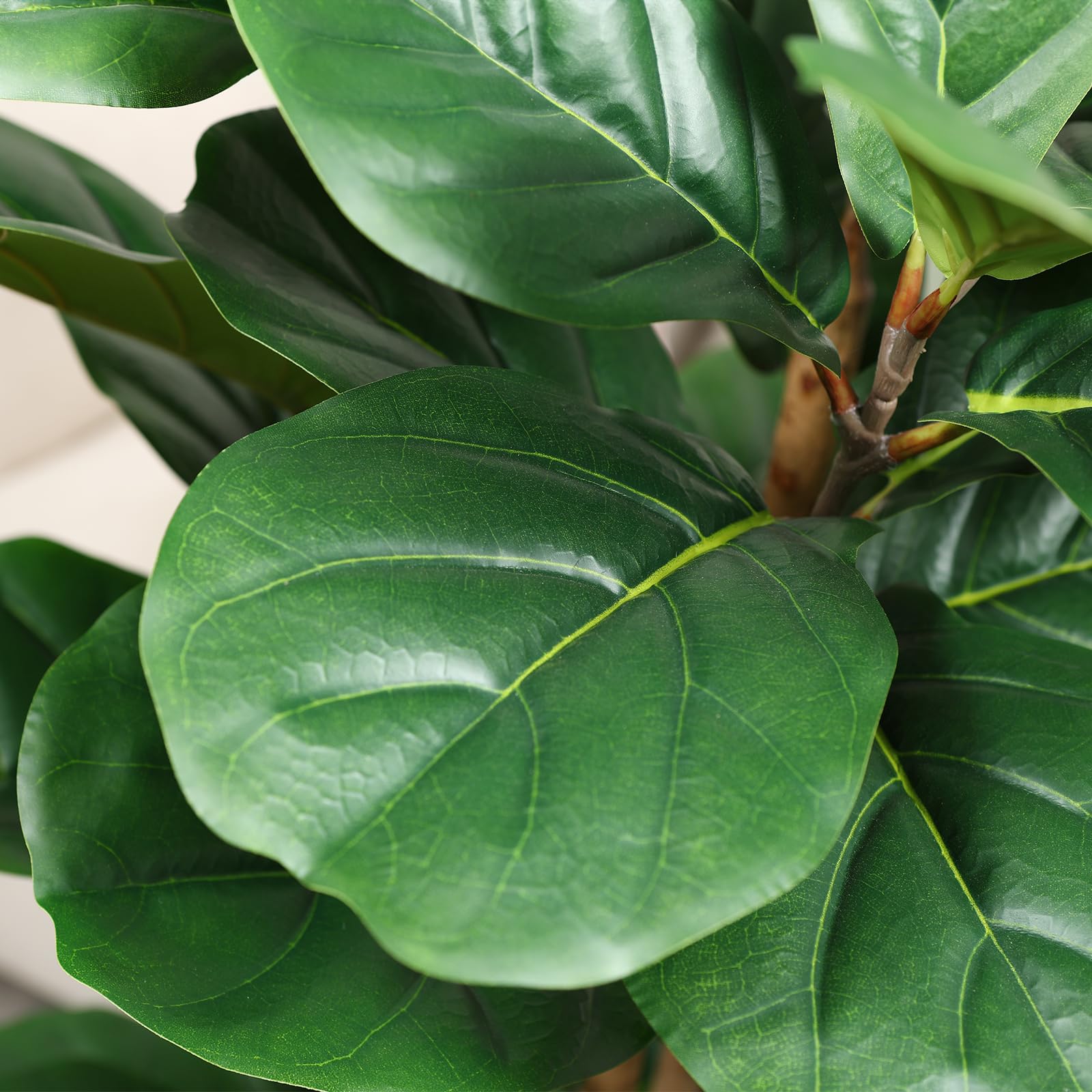 Pohon Ficus Artifisial dengan  - Fiddle Leaf Fig ulasan dan harga