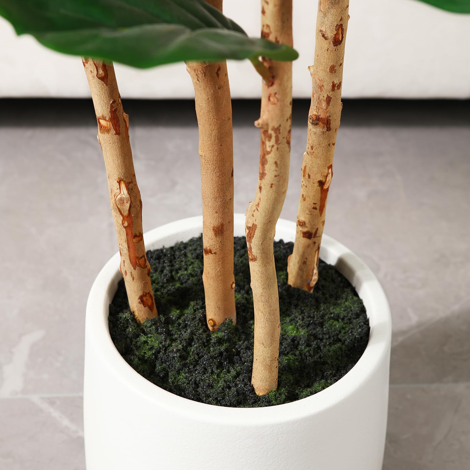 Pohon Ficus Artifisial dengan  - Fiddle Leaf Fig ulasan dan harga